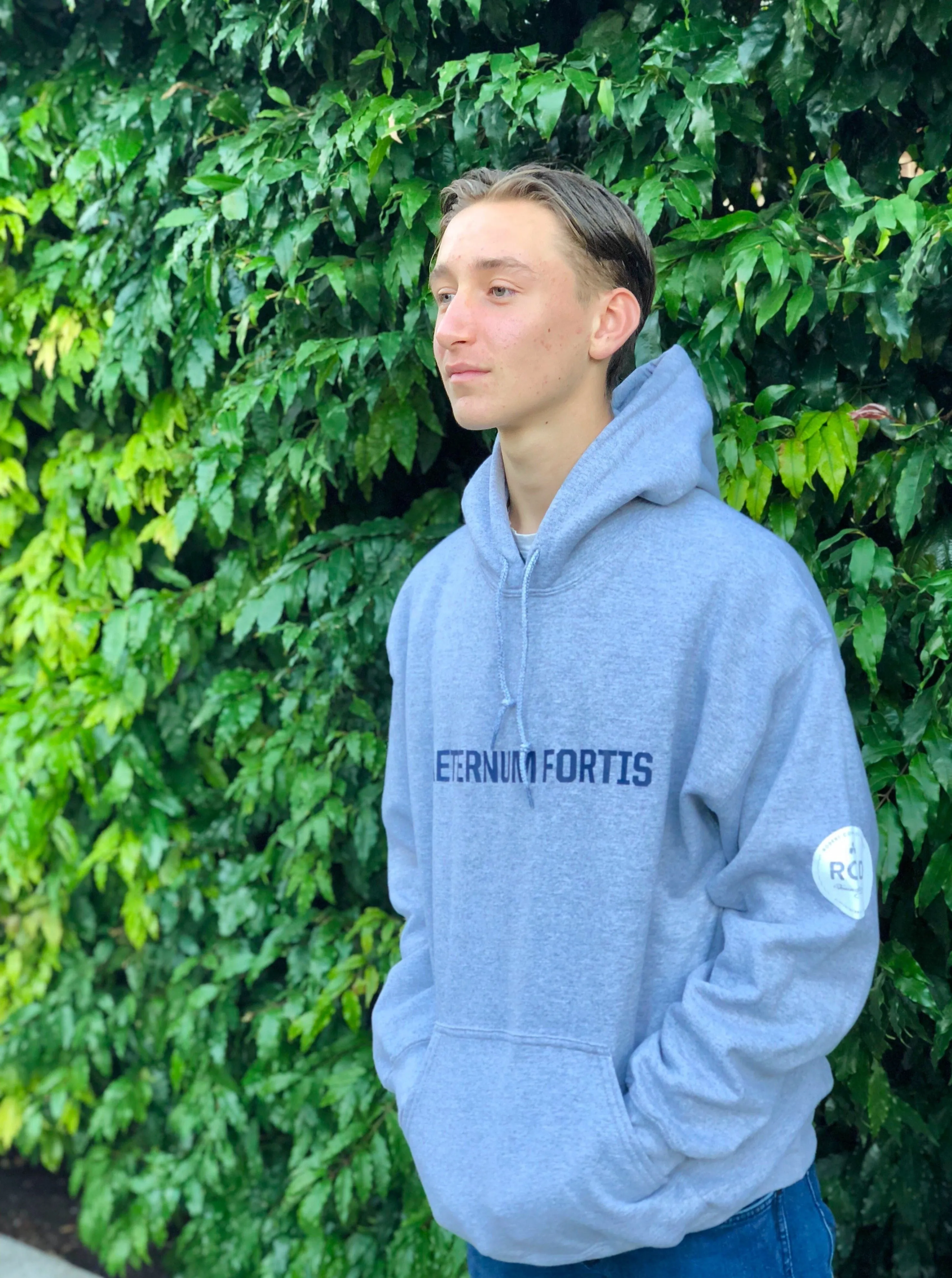 Aeternum Fortis Hoodie