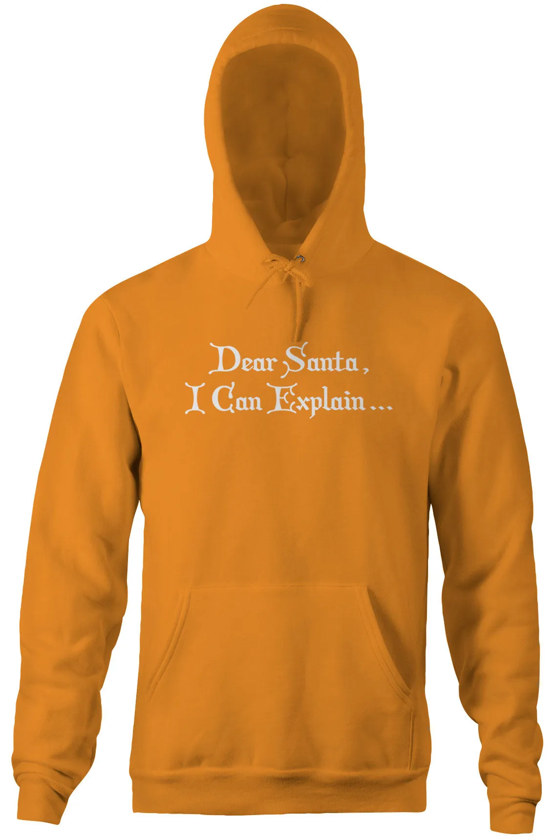 Dear Santa, I Can Explain Hoodie