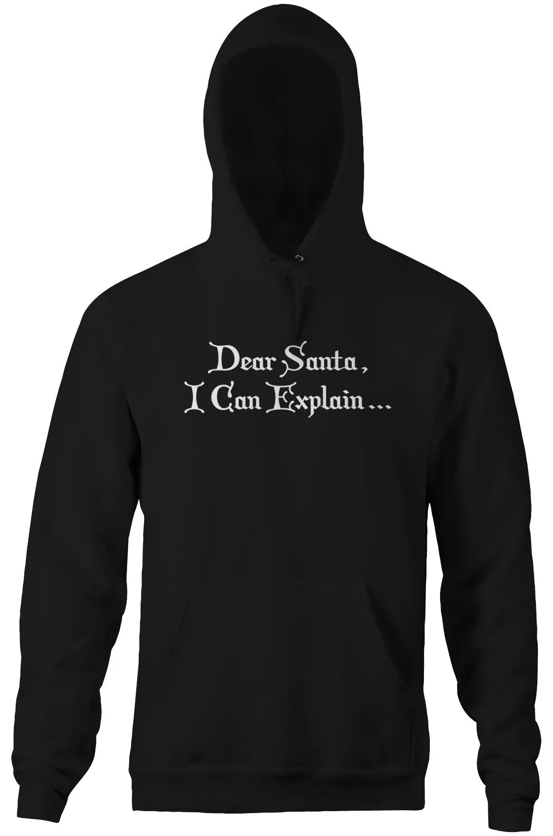 Dear Santa, I Can Explain Hoodie