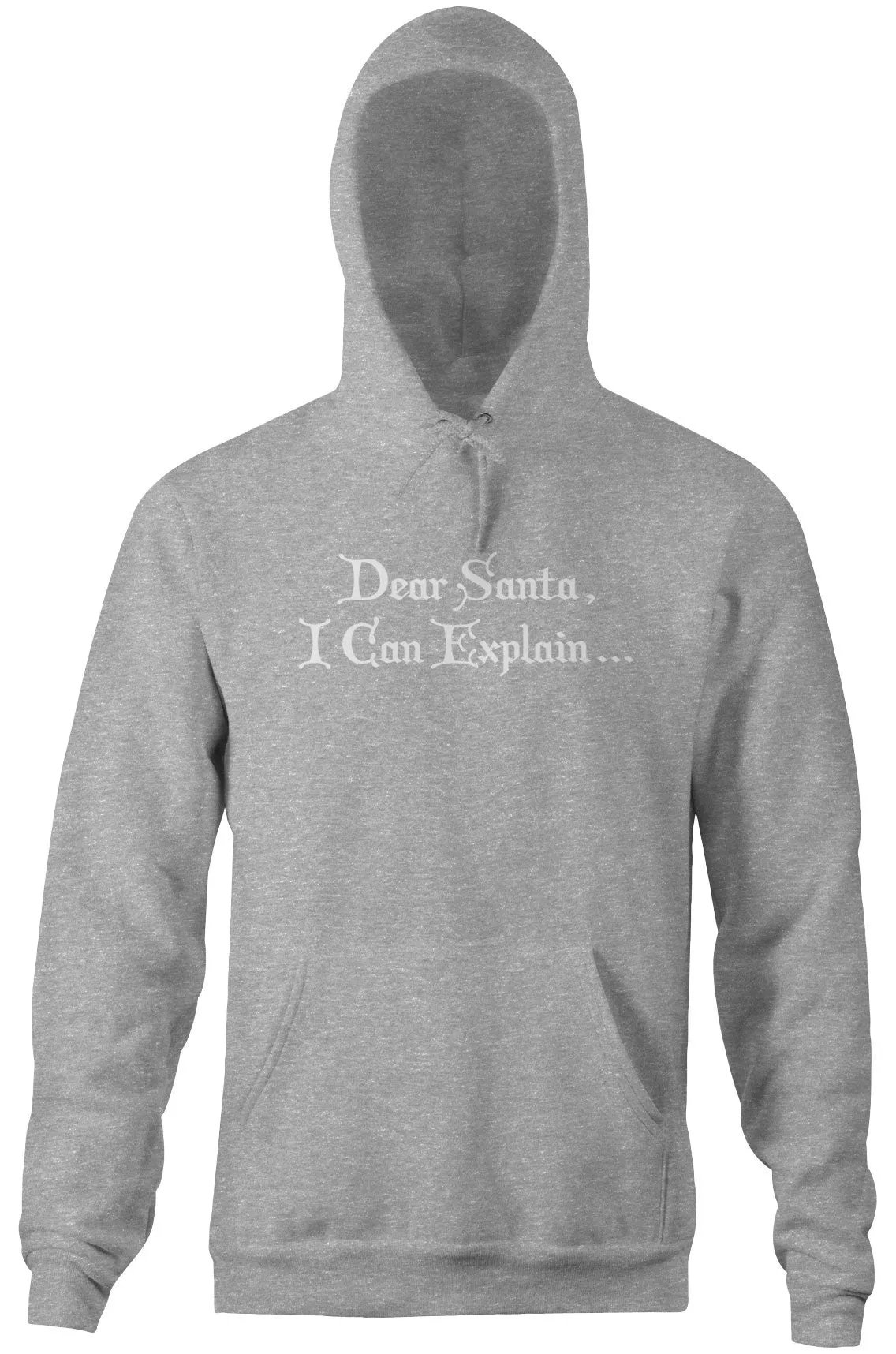 Dear Santa, I Can Explain Hoodie