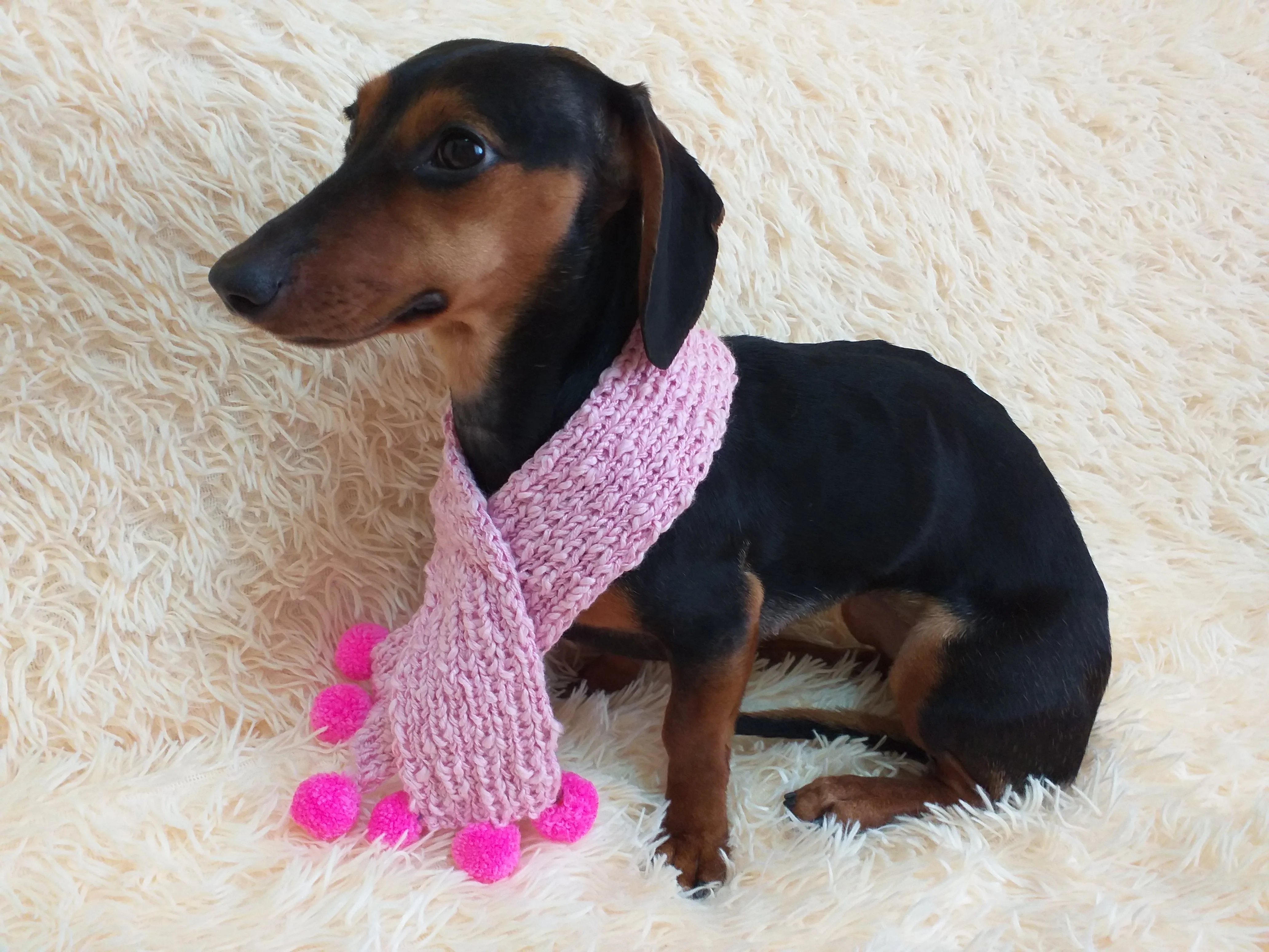 Knitted scarf for dog with pompons