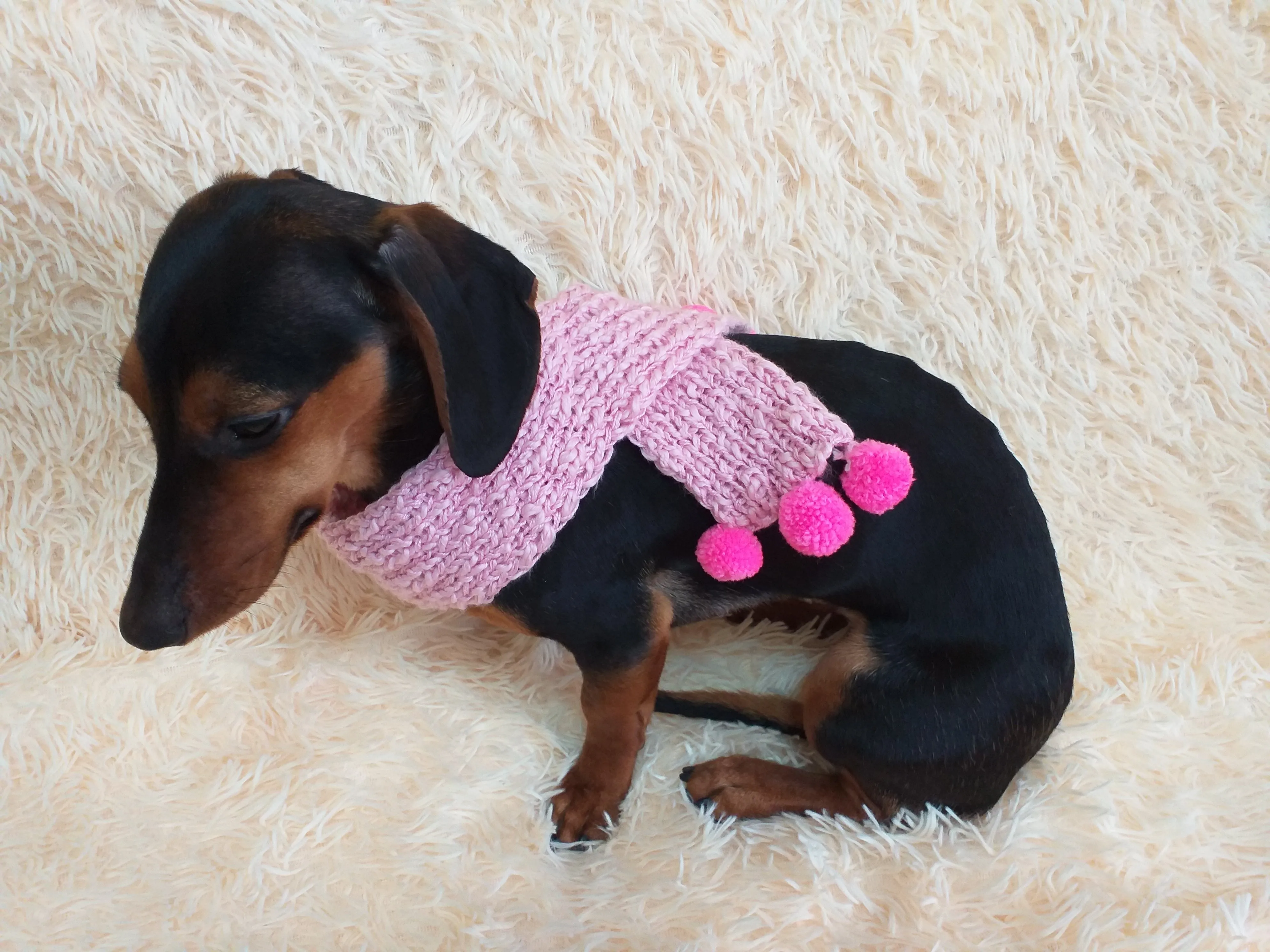 Knitted scarf for dog with pompons