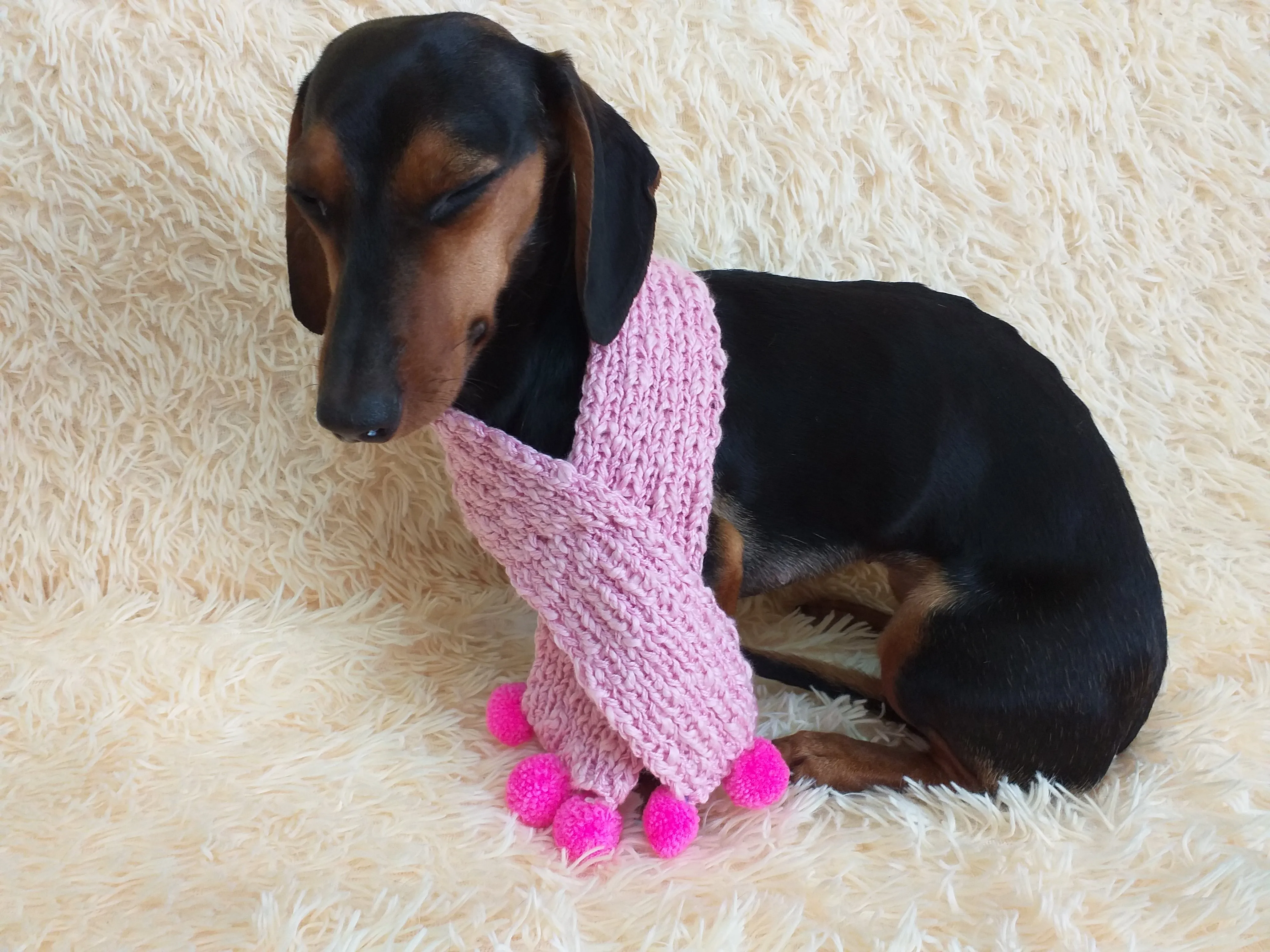 Knitted scarf for dog with pompons