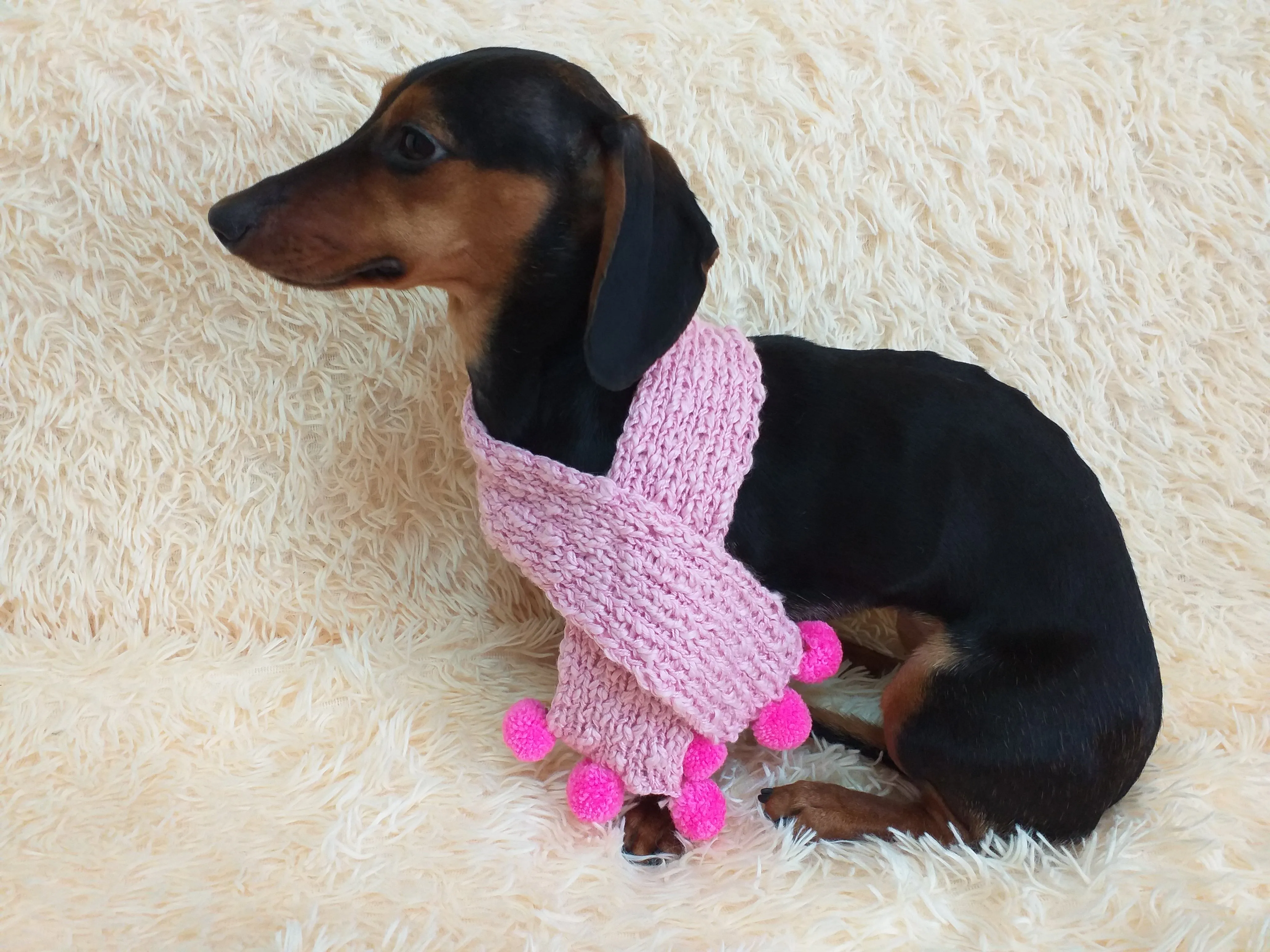 Knitted scarf for dog with pompons