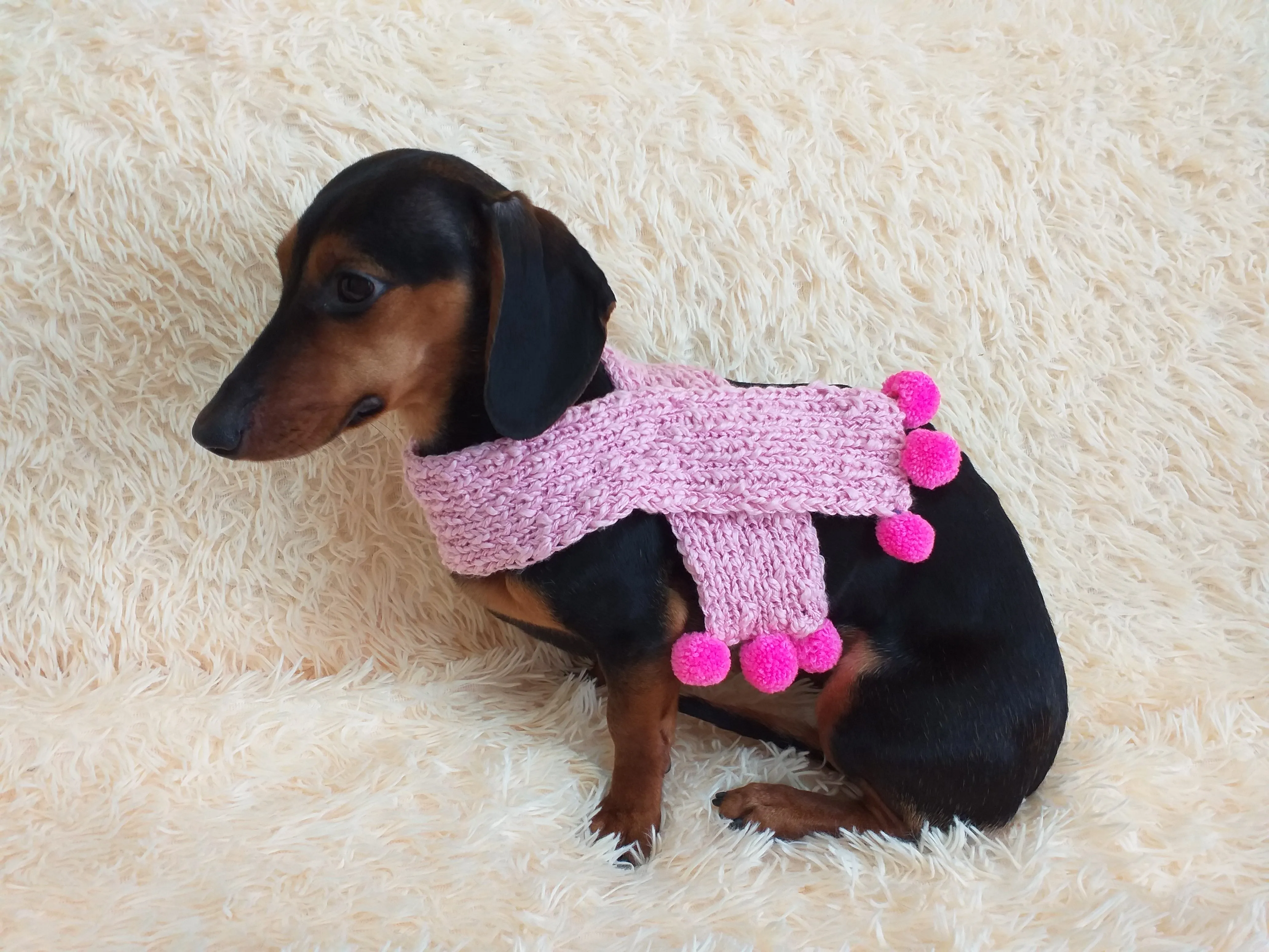 Knitted scarf for dog with pompons