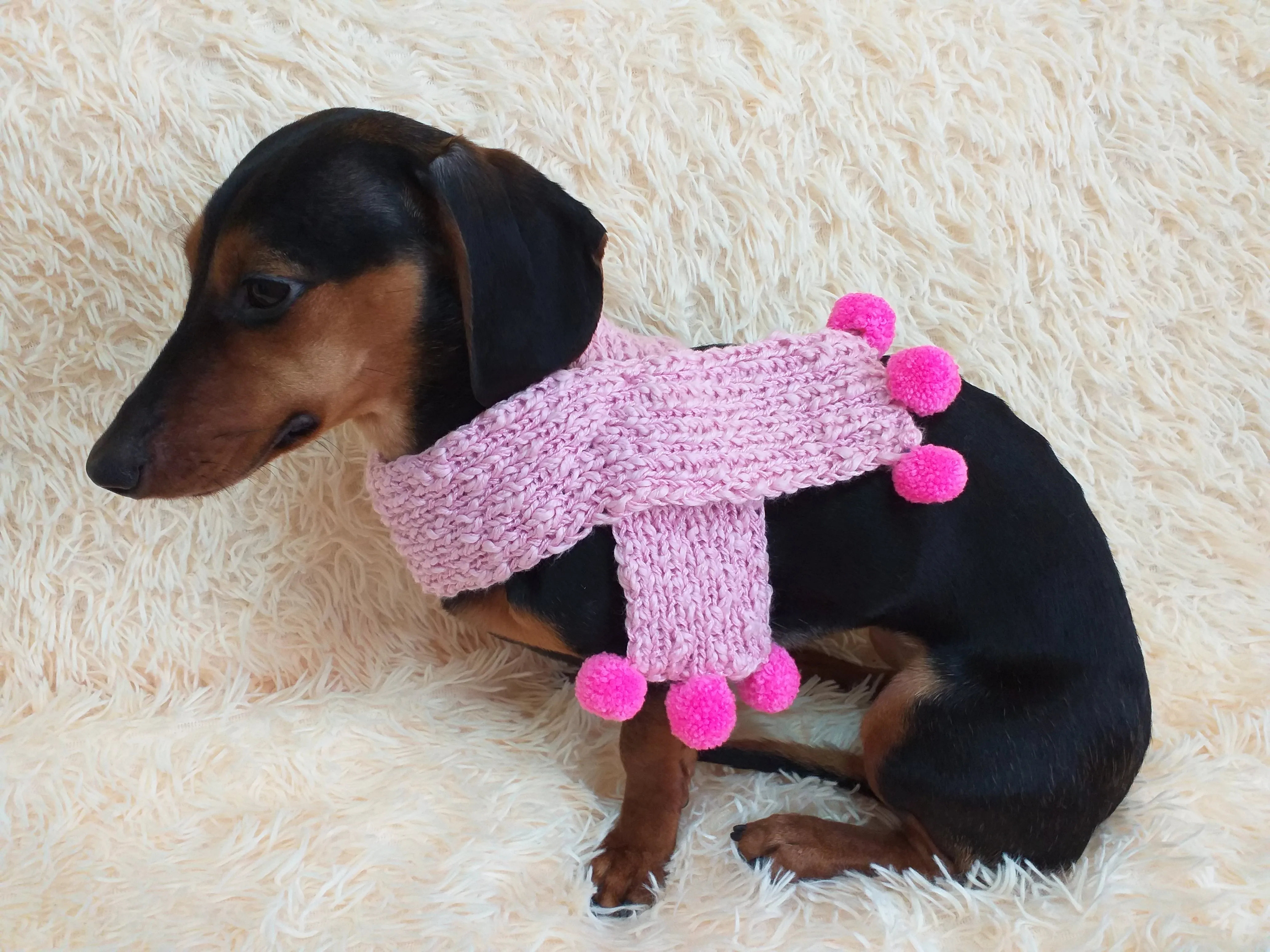 Knitted scarf for dog with pompons