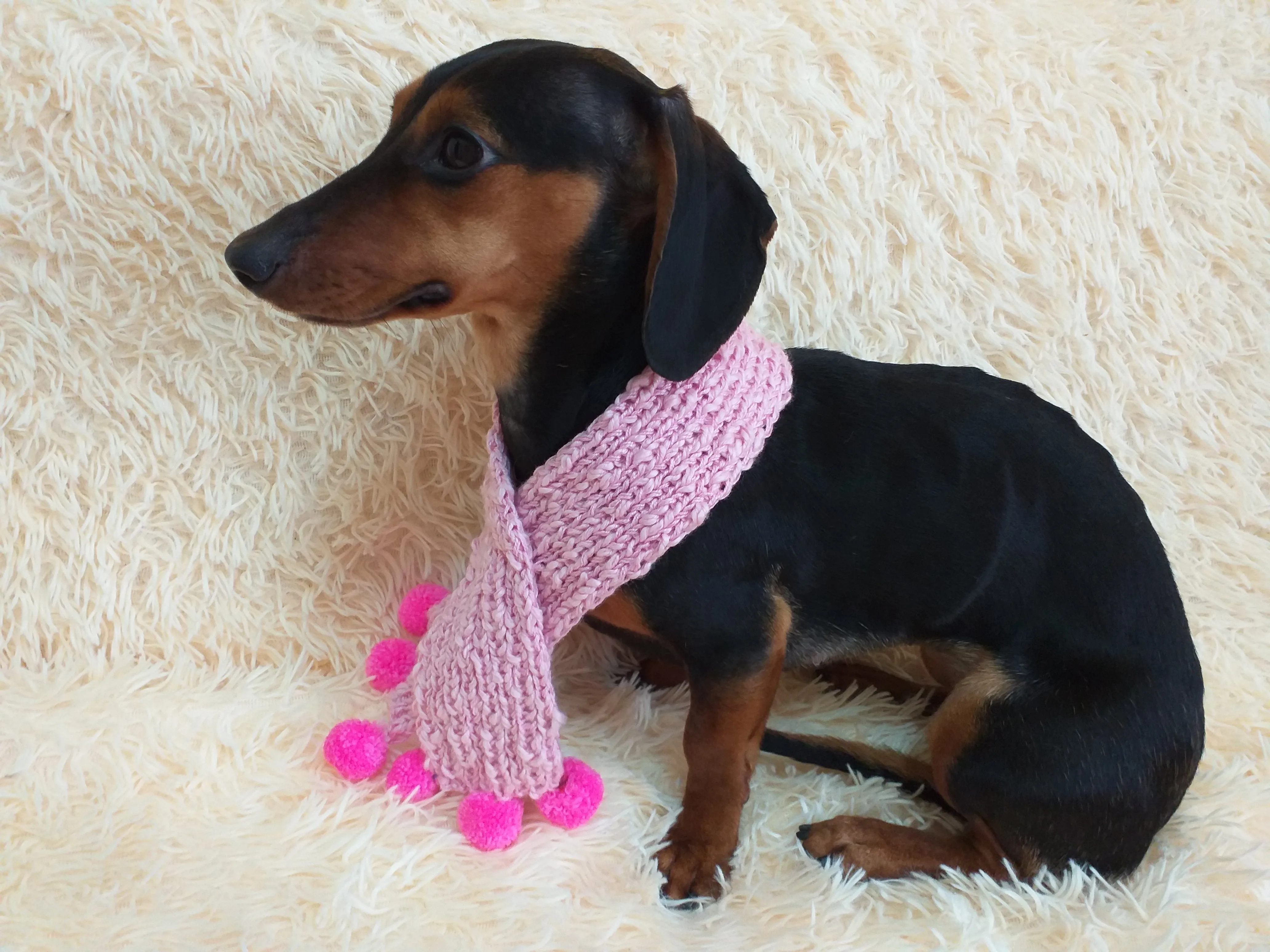 Knitted scarf for dog with pompons