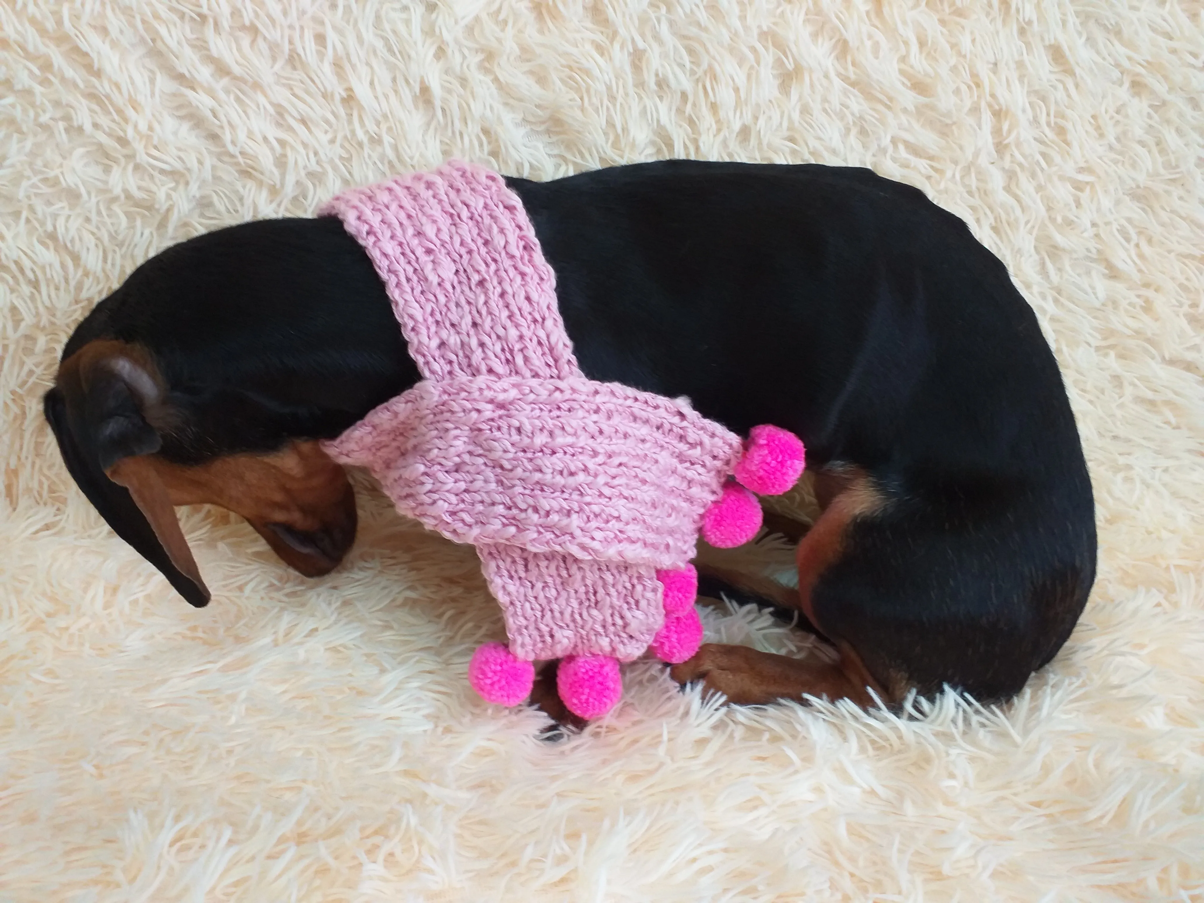 Knitted scarf for dog with pompons