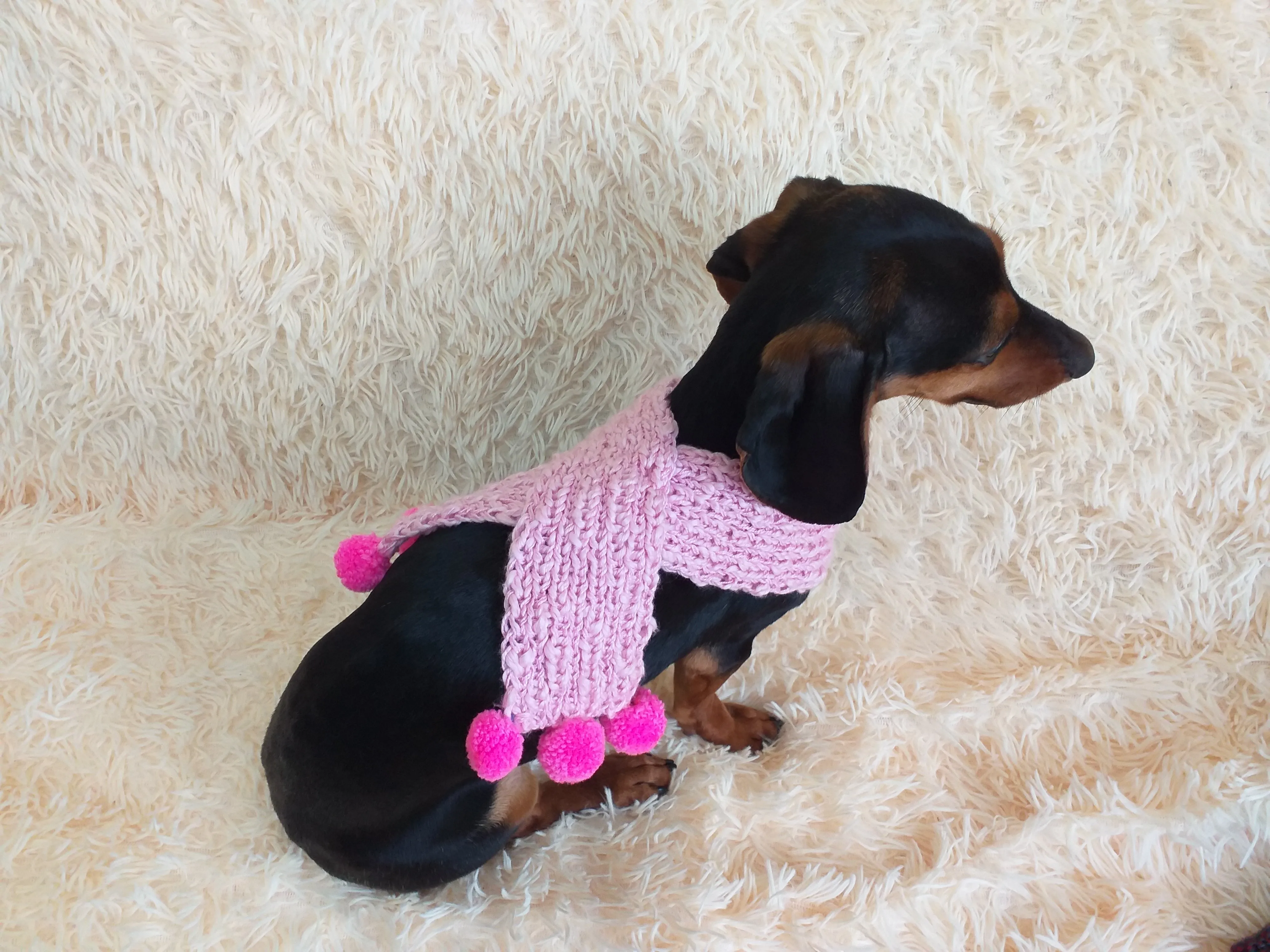 Knitted scarf for dog with pompons