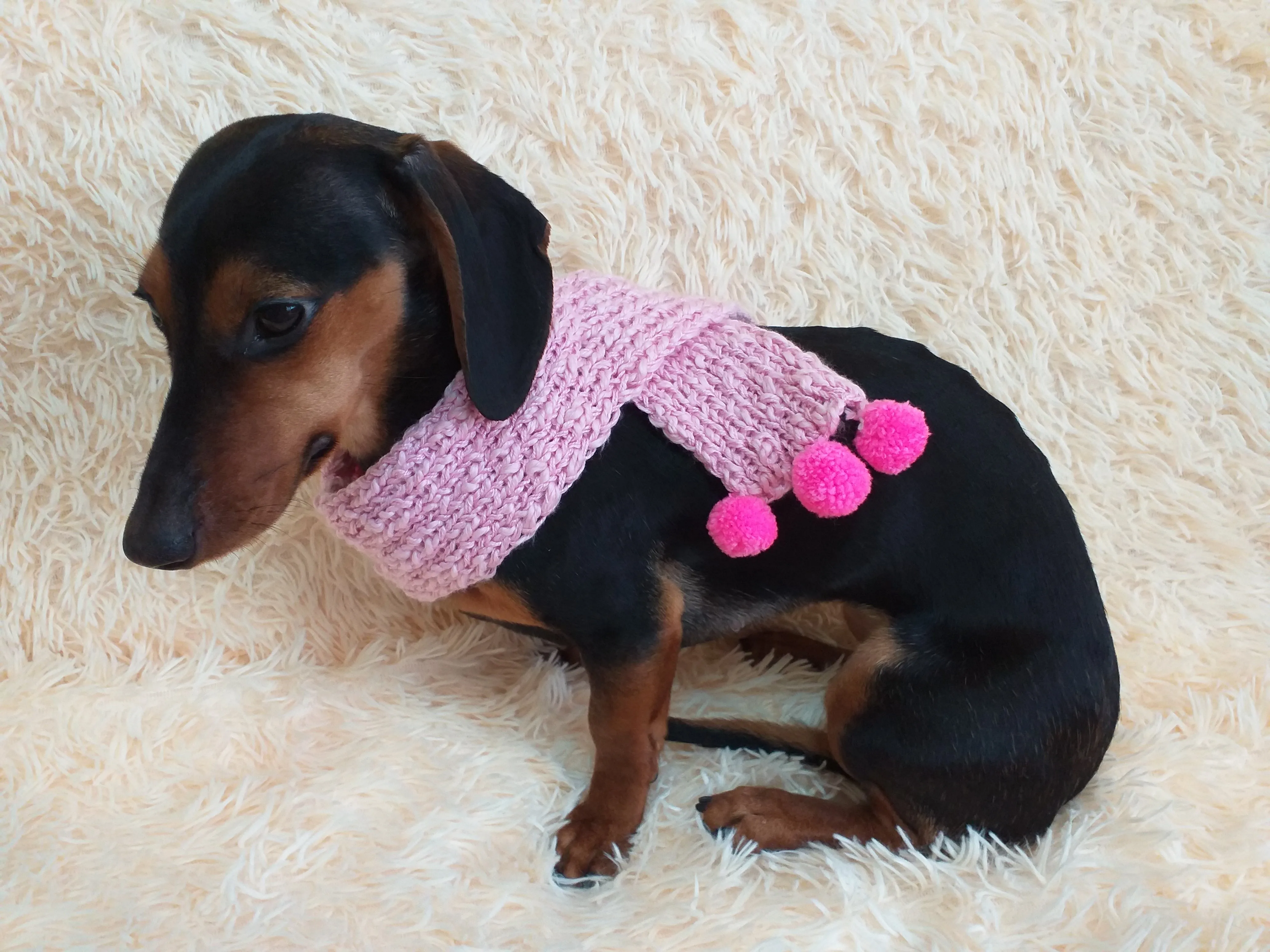 Knitted scarf for dog with pompons