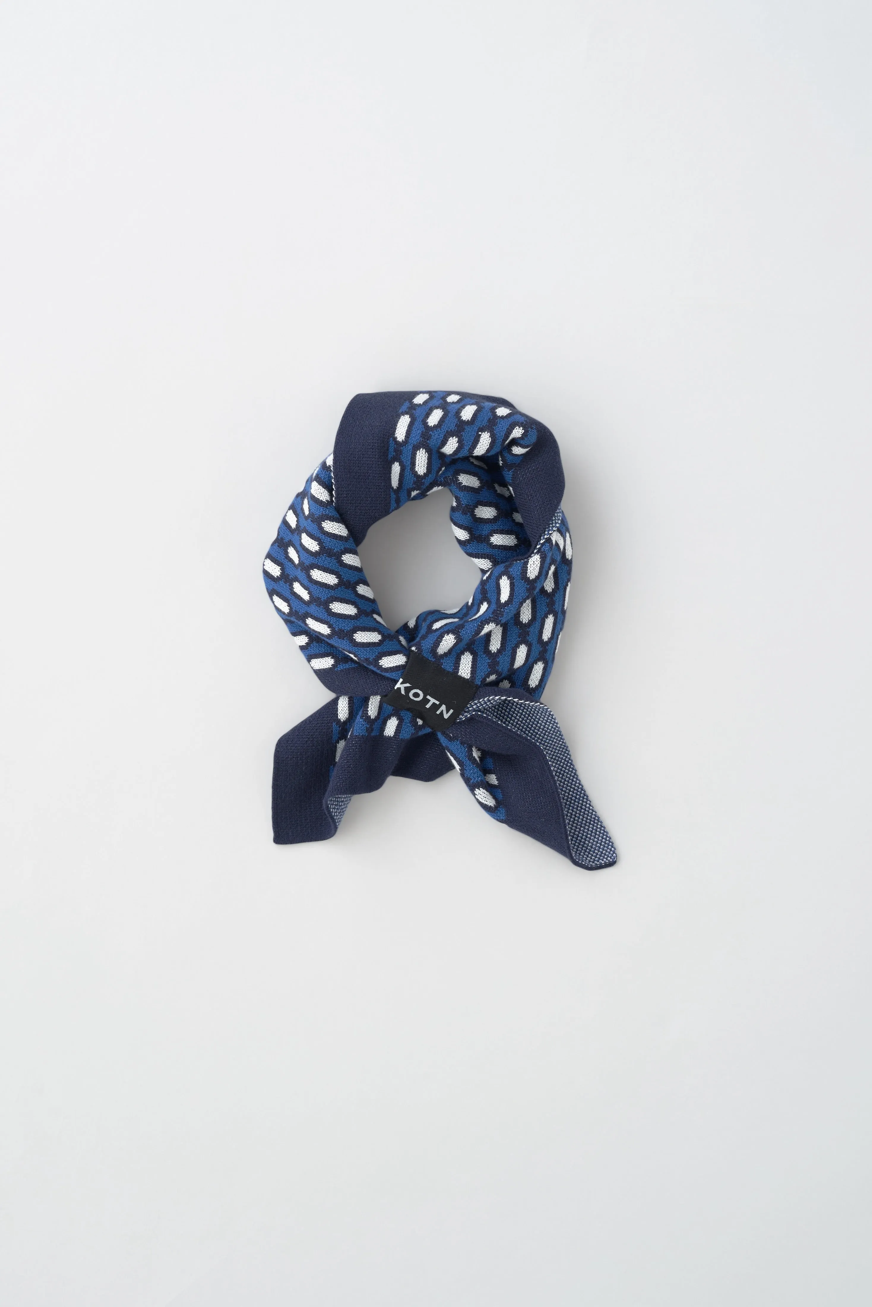 Soad Foulard in Blue Lotus